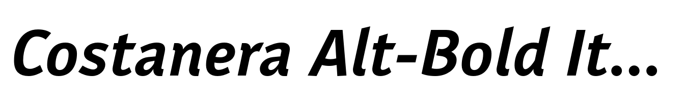 Costanera Alt-Bold Italic